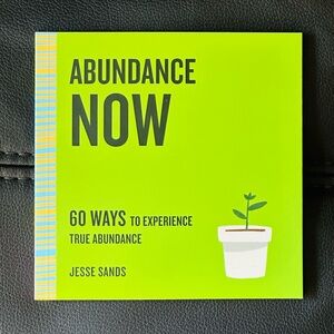 NEW Abundance Now Paperback Book